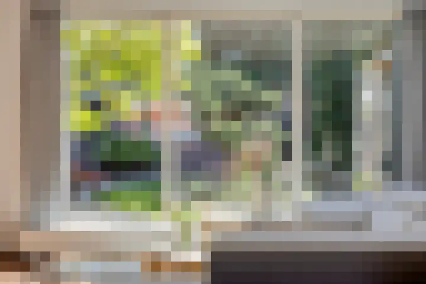 Narcisstraat 8 f Terneuzen thumbnail 10