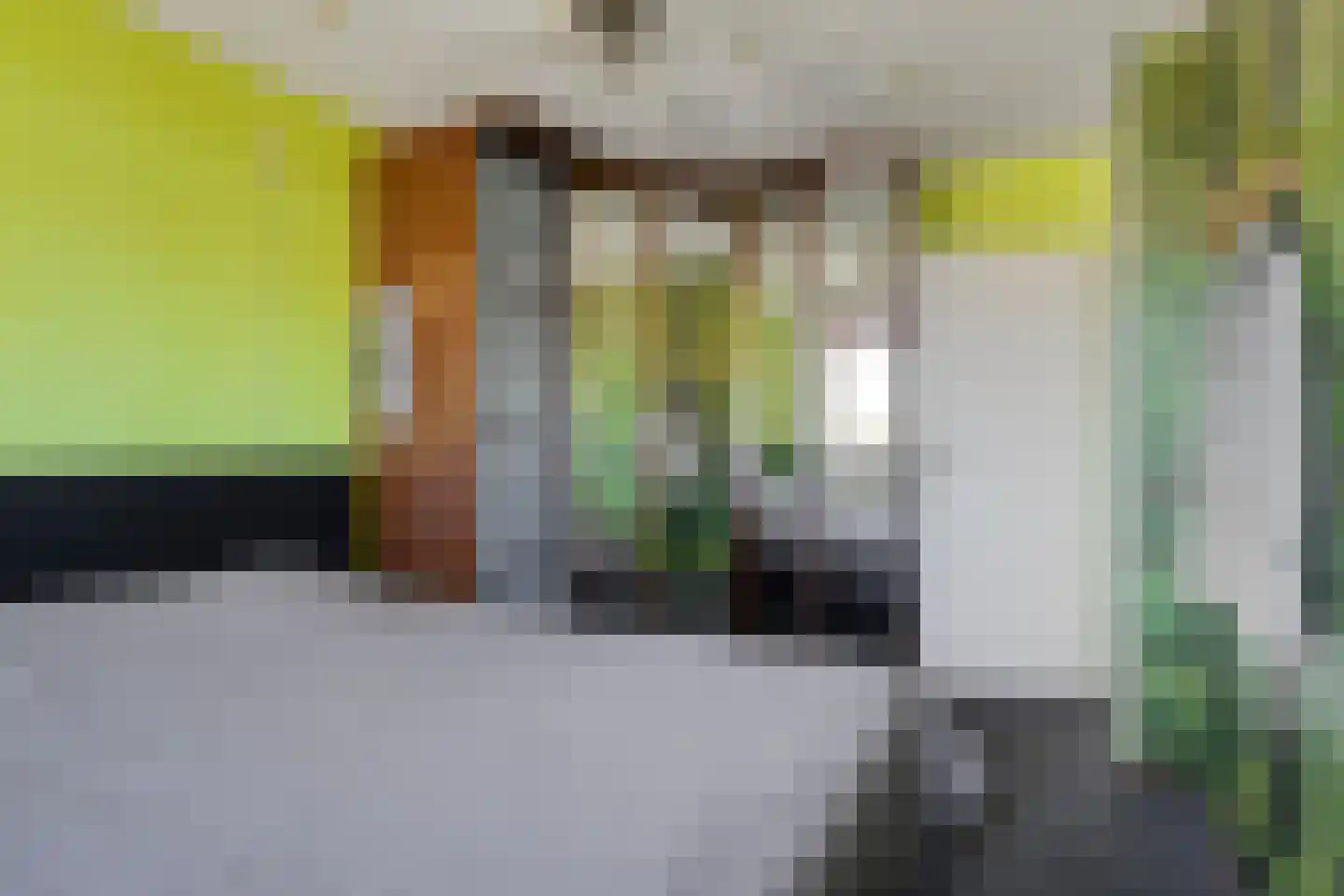 Narcisstraat 8 f Terneuzen thumbnail 24
