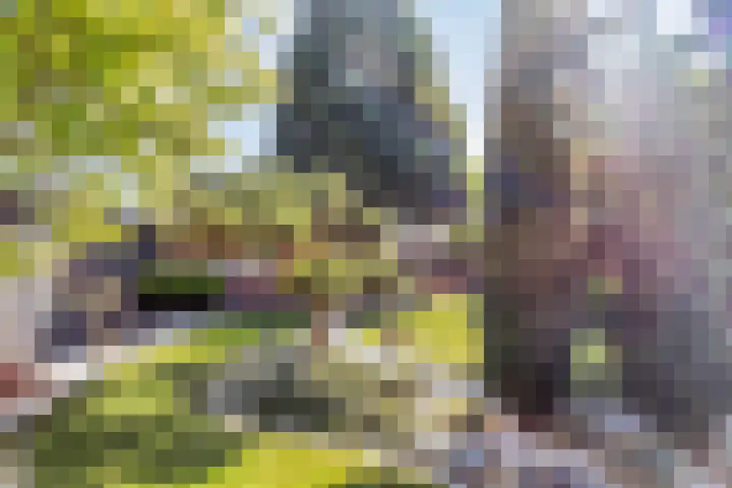 Narcisstraat 8 f Terneuzen thumbnail 39