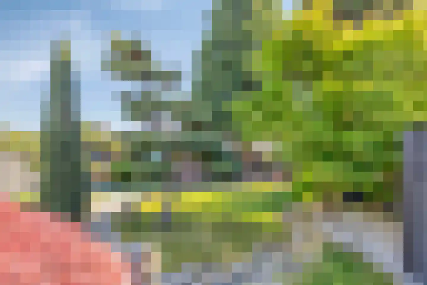 Narcisstraat 8 f Terneuzen thumbnail 4