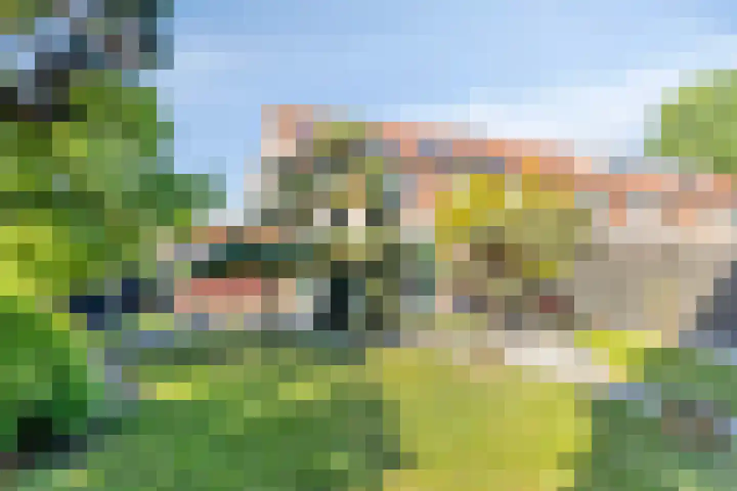 Narcisstraat 8 f Terneuzen thumbnail 42