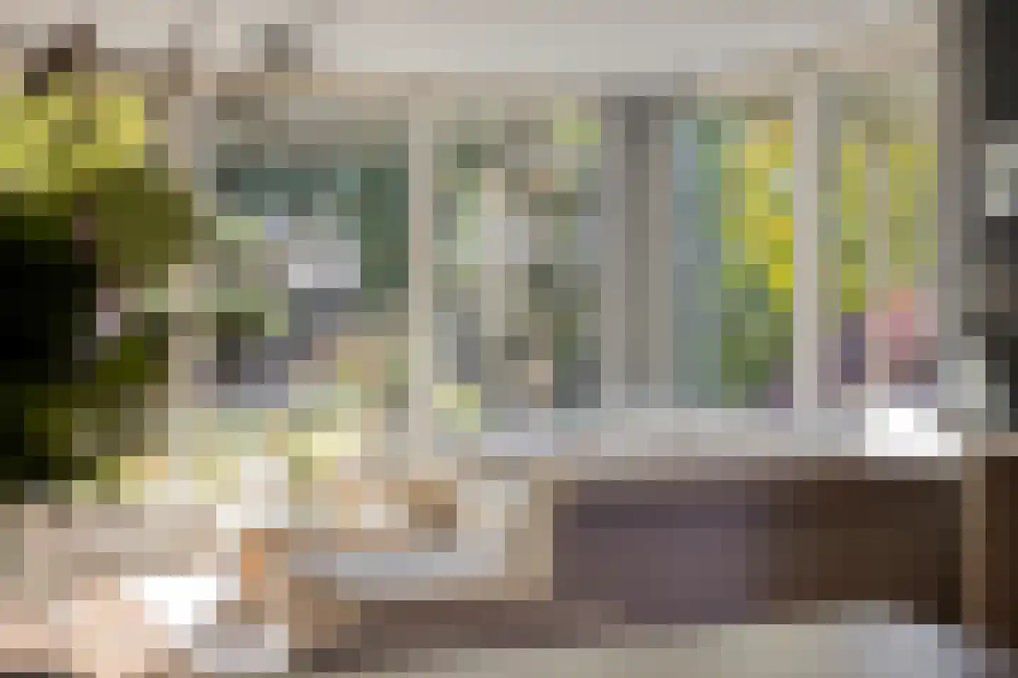 Narcisstraat 8 f Terneuzen thumbnail 8