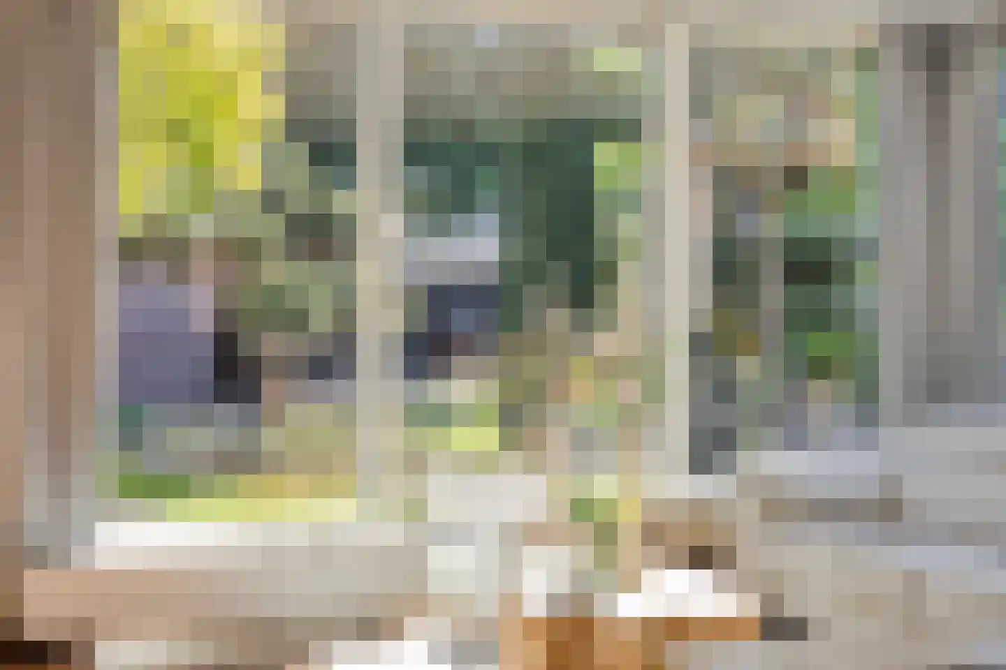 Narcisstraat 8 f Terneuzen thumbnail 9