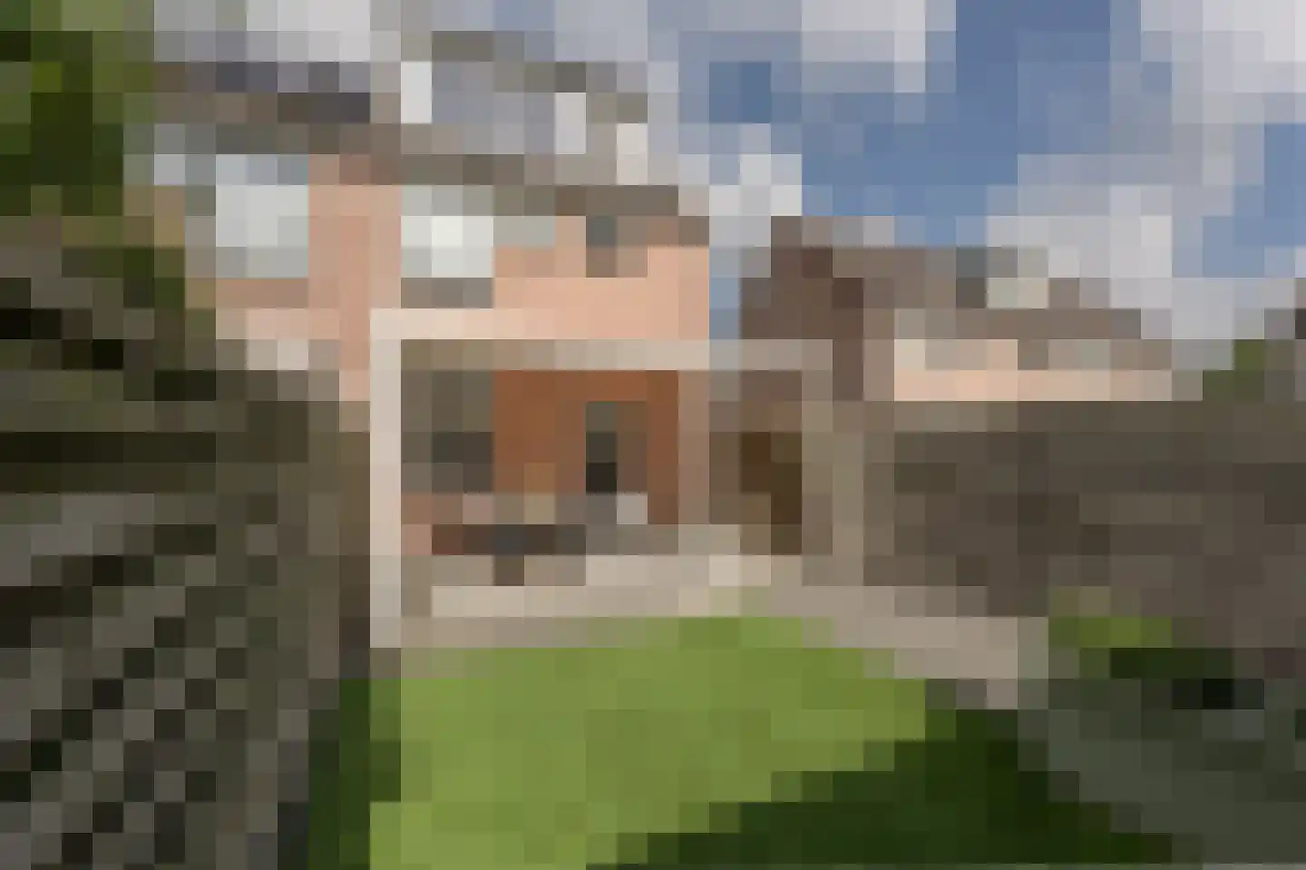 Narcisstraat 9 's-Gravendeel thumbnail 43