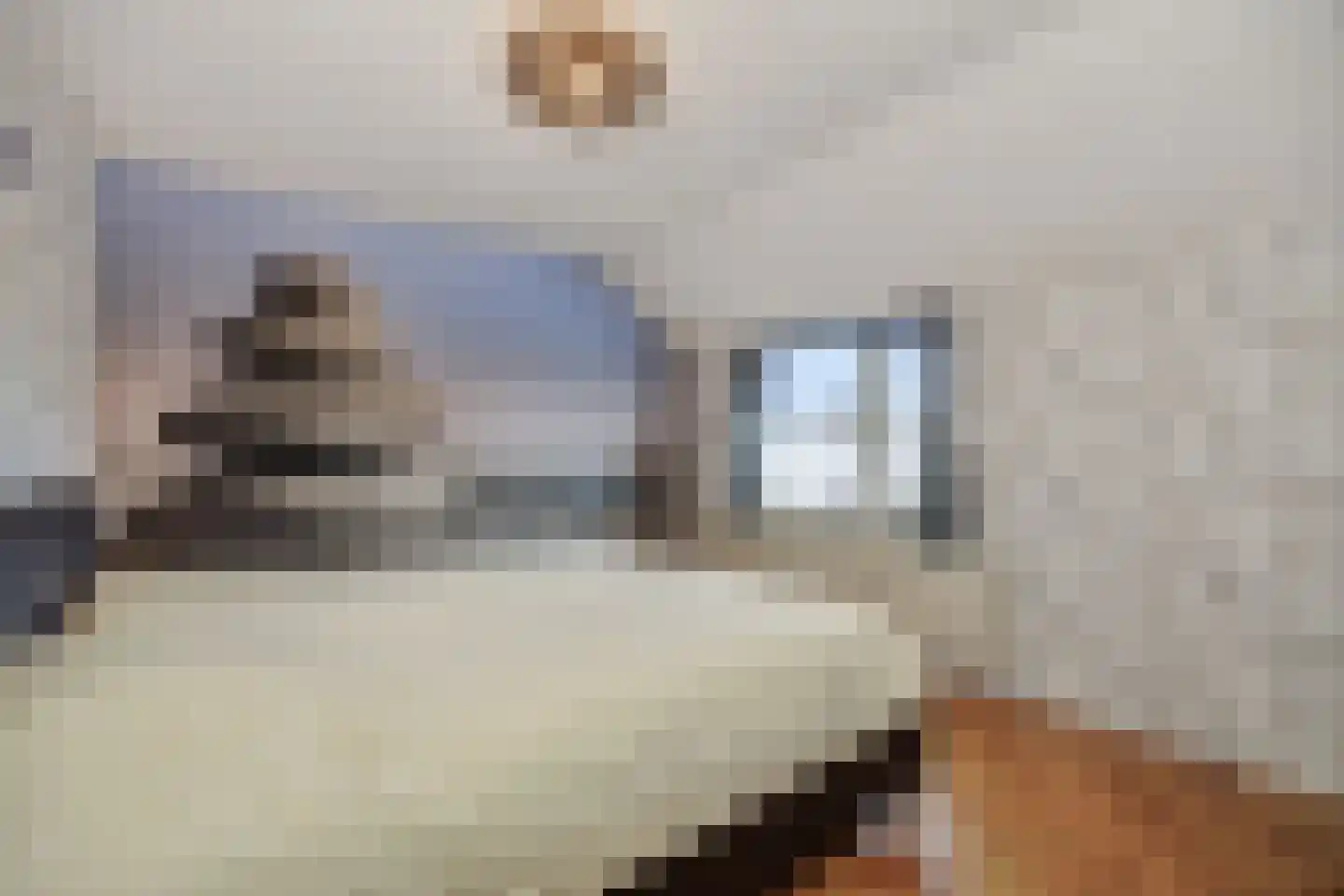 Narcisvallei 2 's-Hertogenbosch thumbnail 12