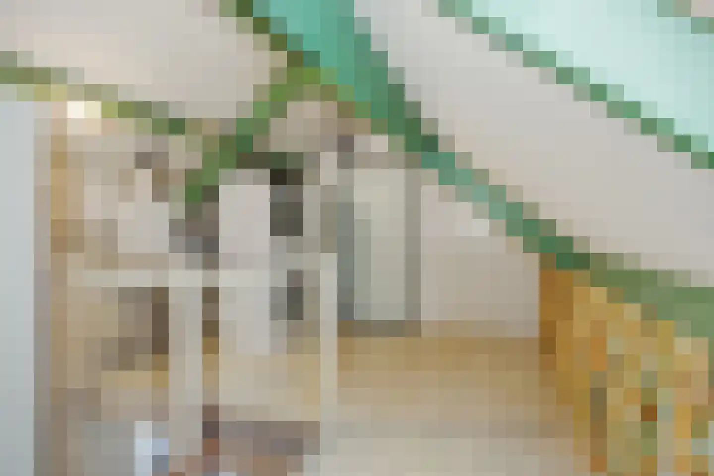 Narcisvallei 2 's-Hertogenbosch thumbnail 20