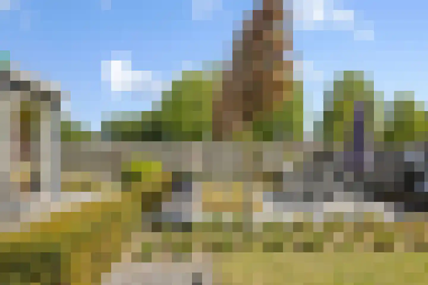 Narcisvallei 2 's-Hertogenbosch thumbnail 23