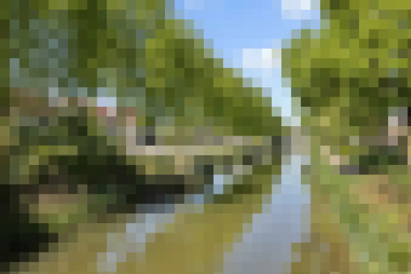 Narcisvallei 2 's-Hertogenbosch thumbnail 27