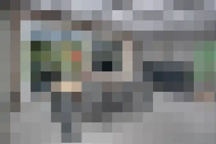 Narcisvallei 6 's-Hertogenbosch thumbnail 26