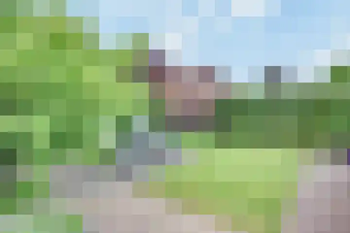 Narcisvallei 6 's-Hertogenbosch thumbnail 27