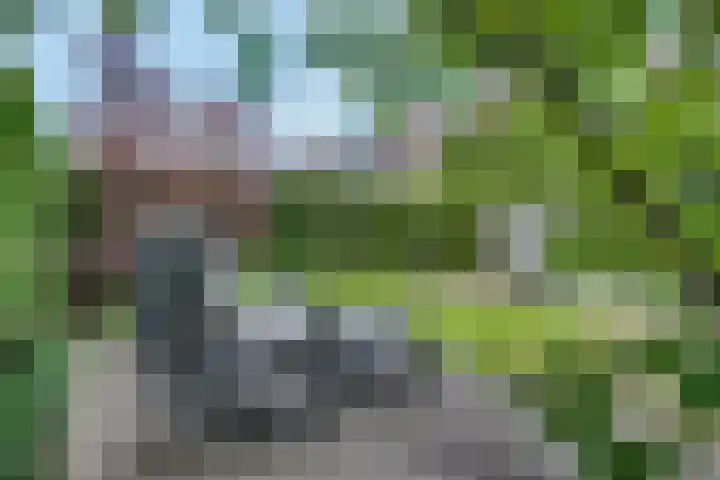 Narcisvallei 6 's-Hertogenbosch thumbnail 28