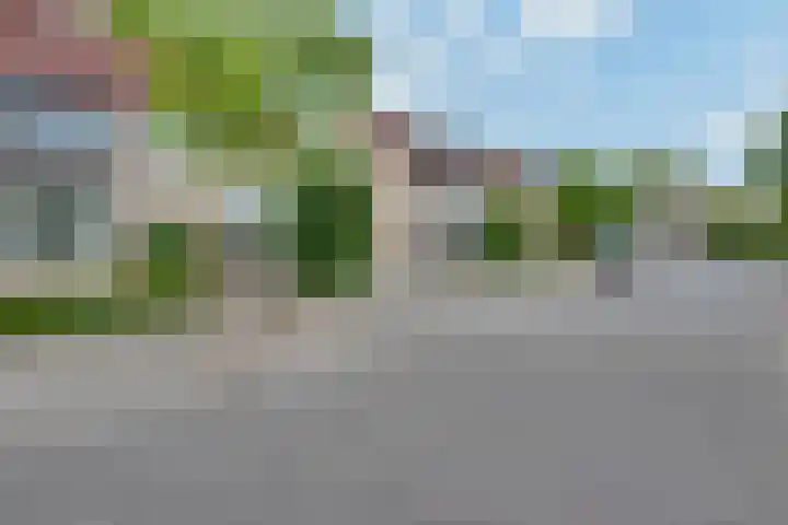 Narcisvallei 6 's-Hertogenbosch thumbnail 30