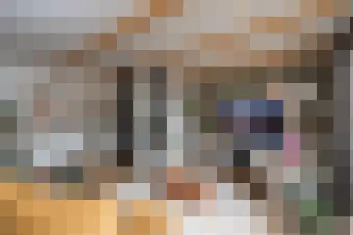 Narcisveld 22 Nieuwerkerk aan den IJssel thumbnail 11