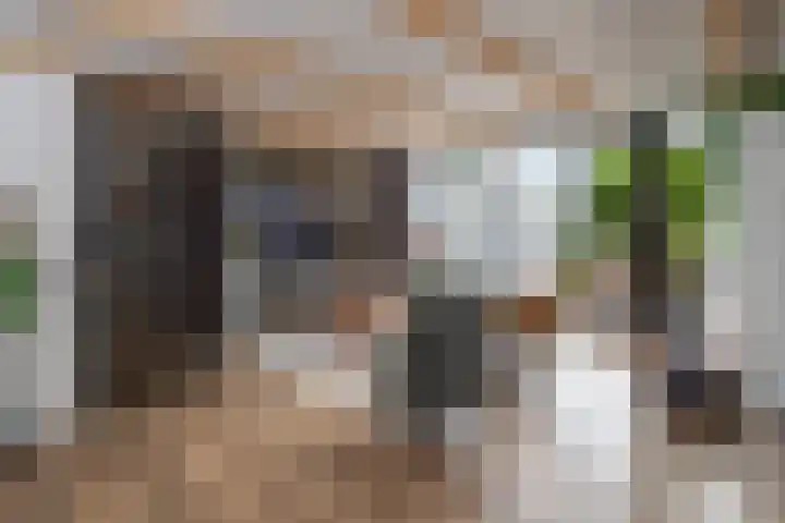 Narcisveld 22 Nieuwerkerk aan den IJssel thumbnail 12