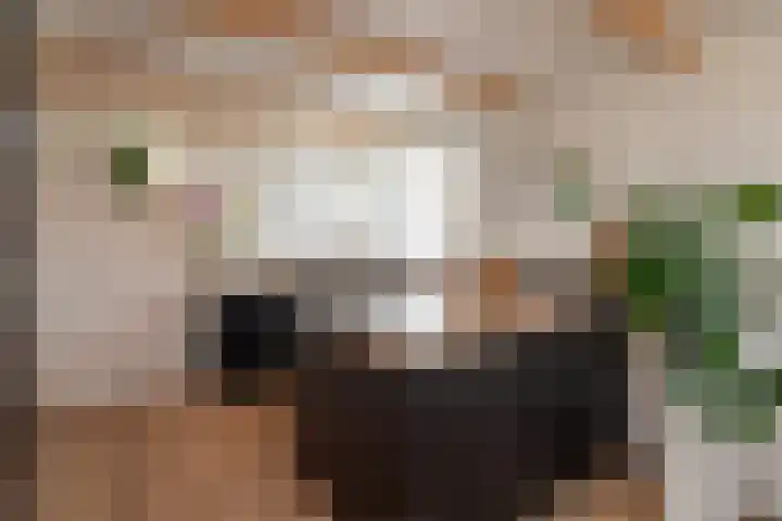 Narcisveld 22 Nieuwerkerk aan den IJssel thumbnail 14