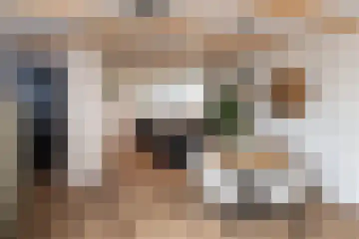 Narcisveld 22 Nieuwerkerk aan den IJssel thumbnail 15