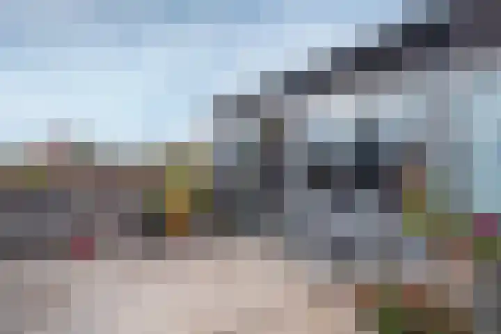 Narcisveld 22 Nieuwerkerk aan den IJssel thumbnail 18