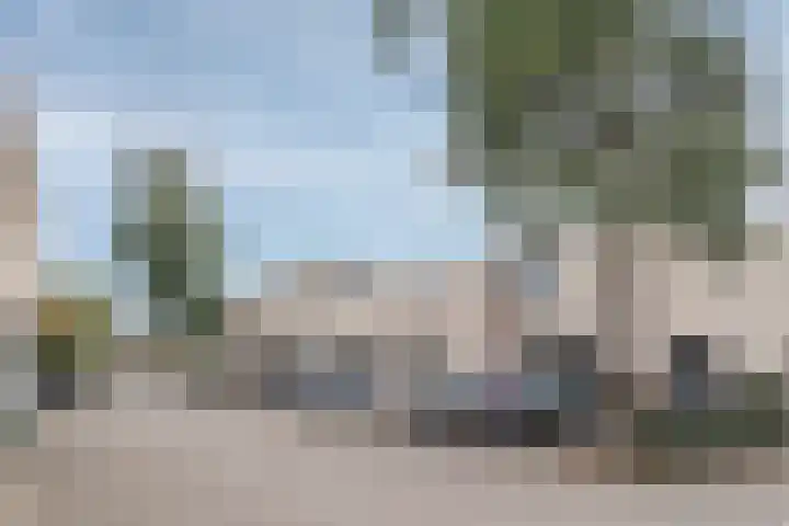 Narcisveld 22 Nieuwerkerk aan den IJssel thumbnail 27