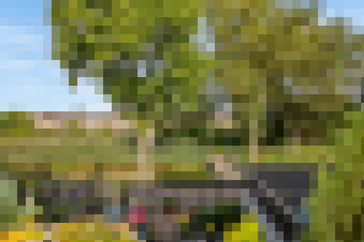 Narcisveld 41 Nieuwerkerk aan den IJssel thumbnail 20