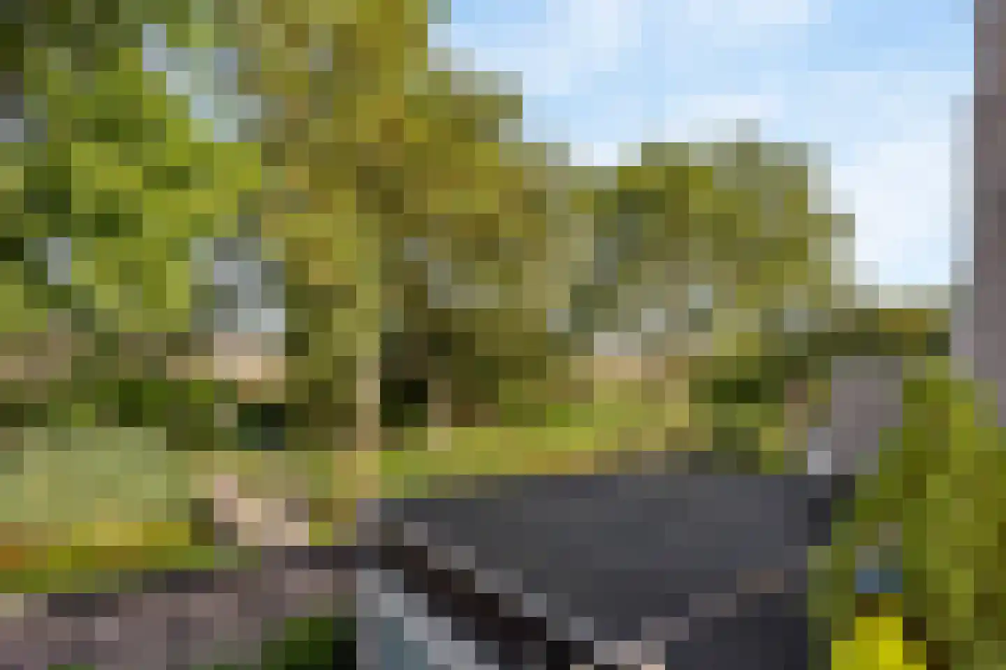 Narcisveld 41 Nieuwerkerk aan den IJssel thumbnail 43