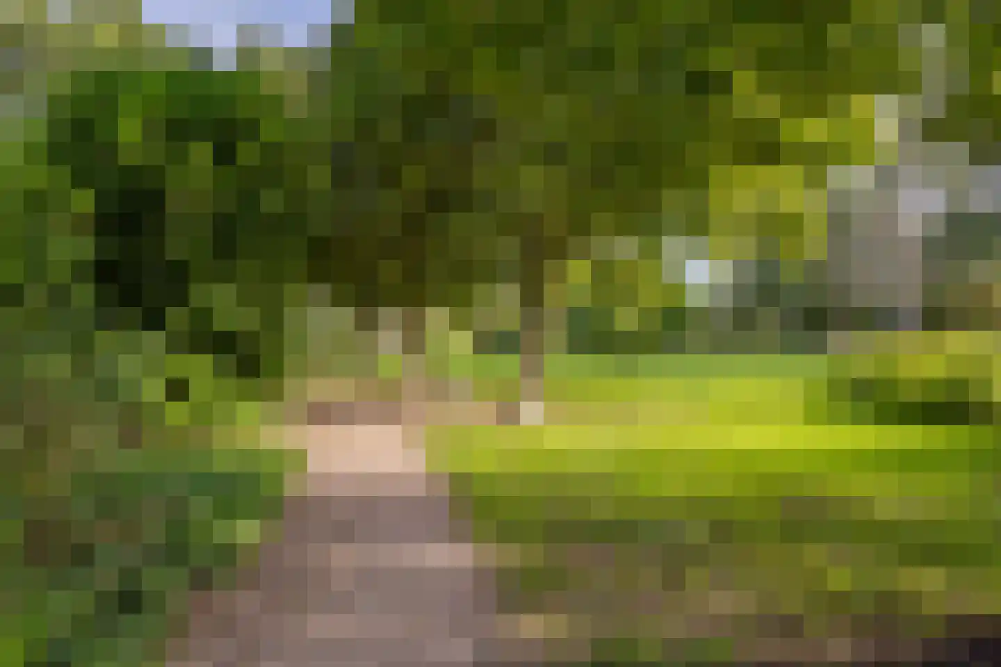 Narcisveld 41 Nieuwerkerk aan den IJssel thumbnail 49