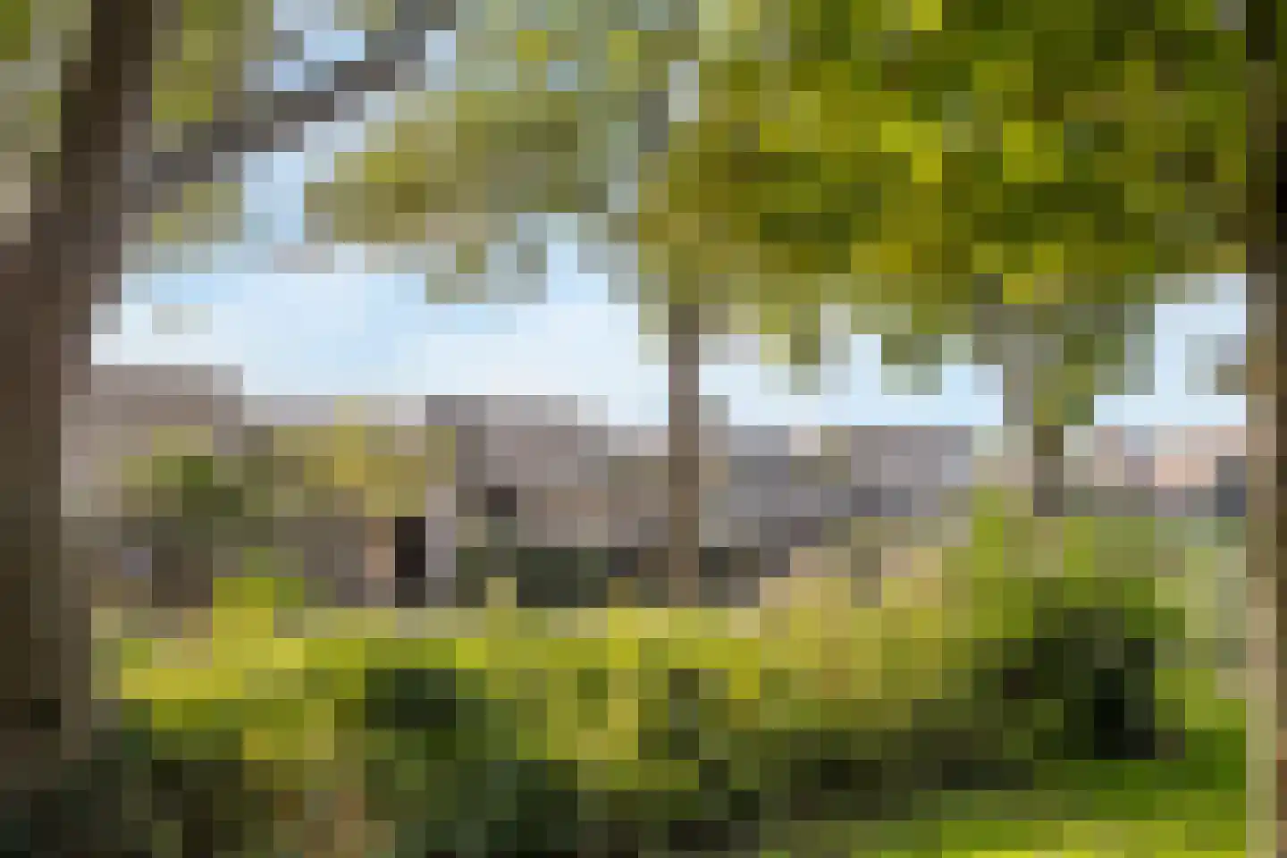 Narcisveld 41 Nieuwerkerk aan den IJssel thumbnail 51