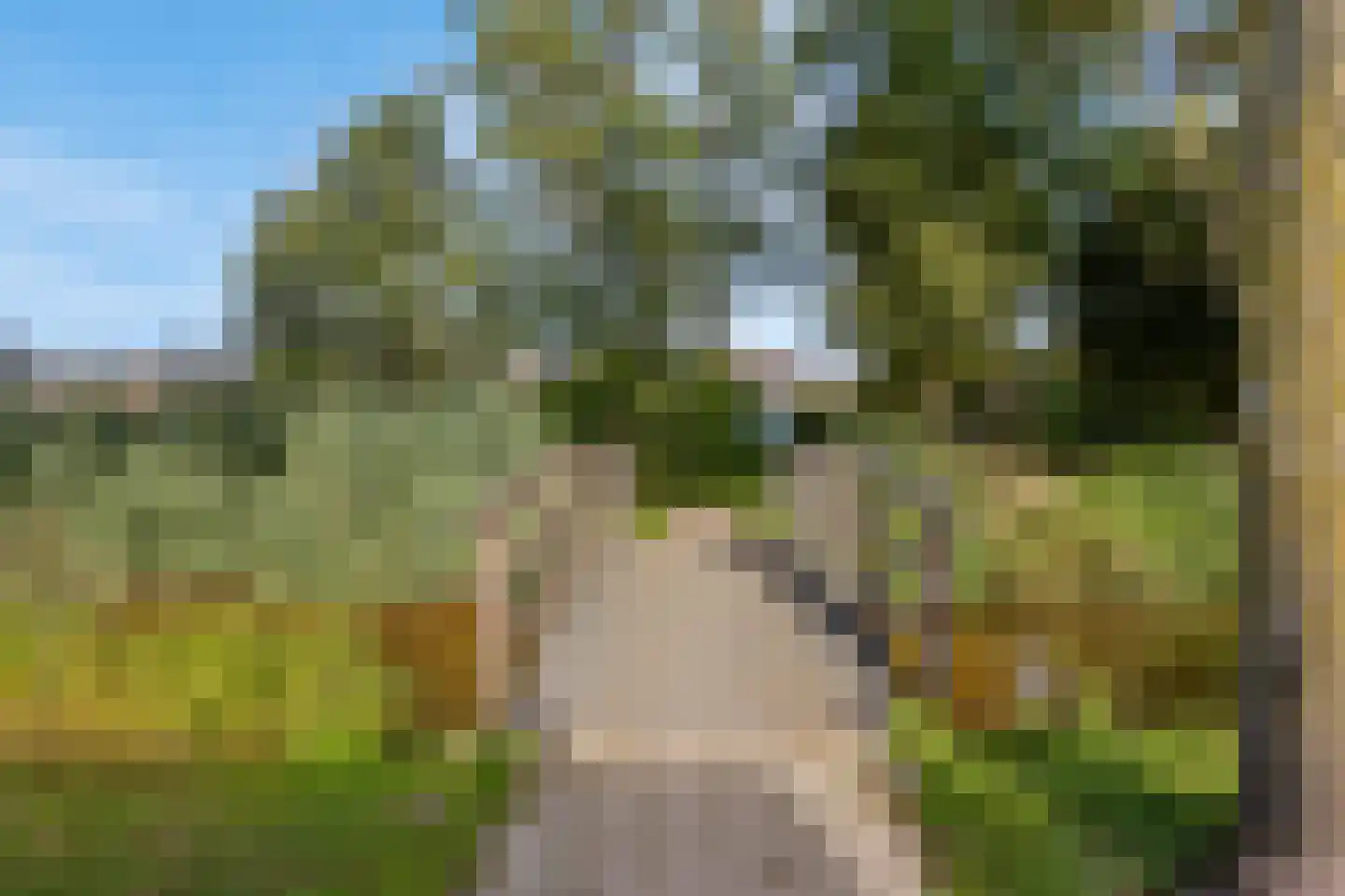 Narcisveld 41 Nieuwerkerk aan den IJssel thumbnail 52