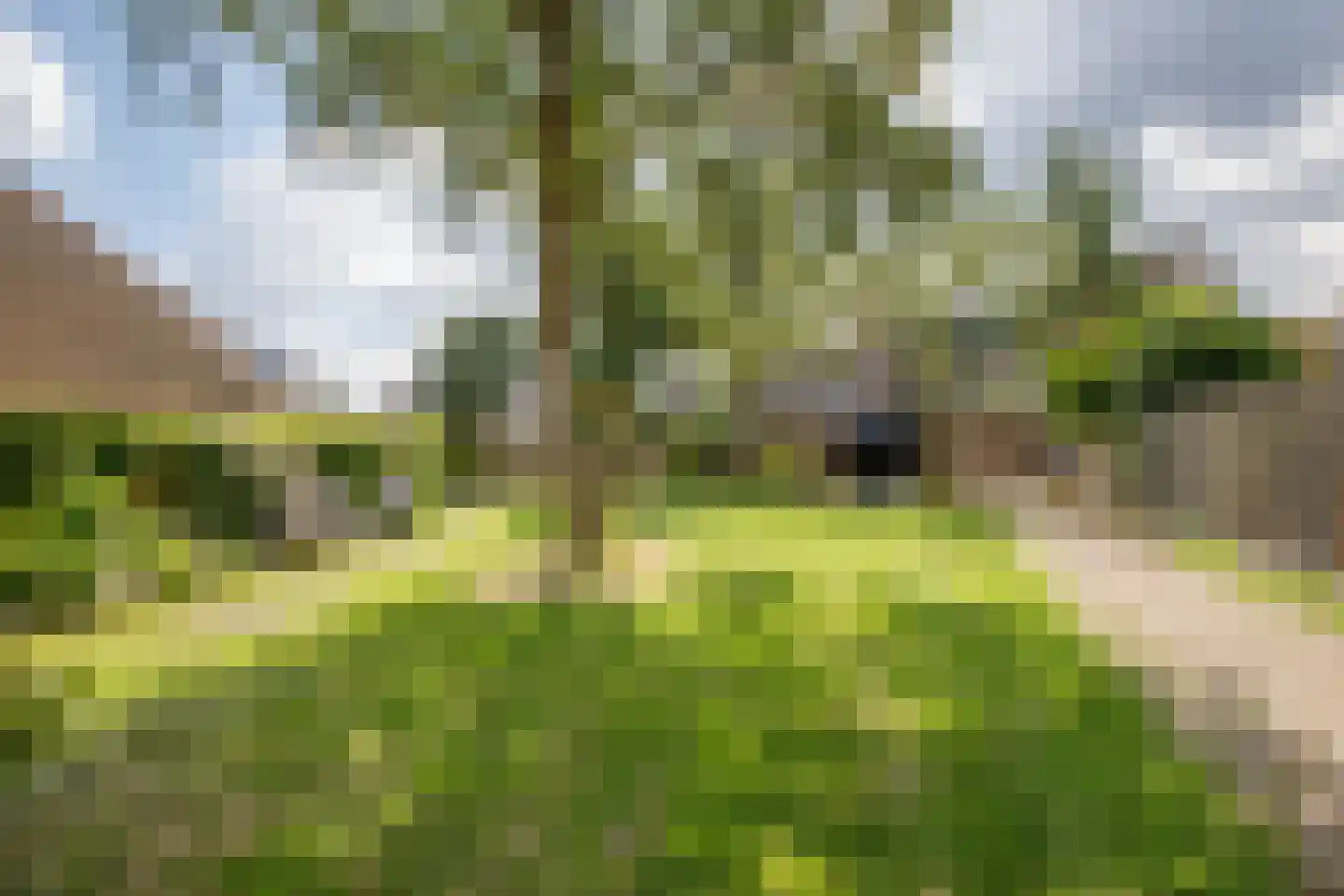 Narcisveld 67 Nieuwerkerk aan den IJssel thumbnail 33