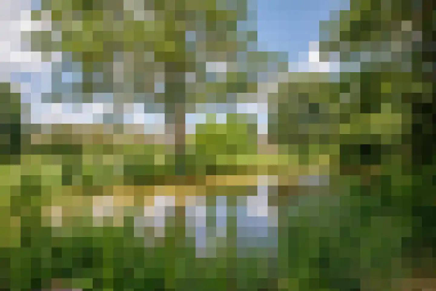 Narcisveld 67 Nieuwerkerk aan den IJssel thumbnail 37