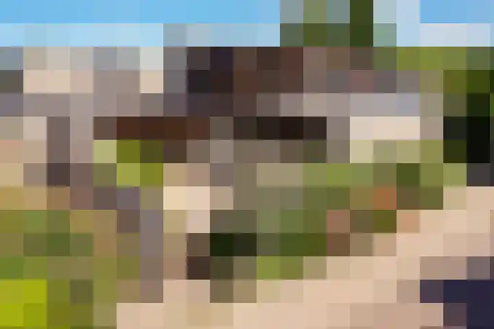 Narcisveld 7 Nieuwerkerk aan den IJssel thumbnail 40