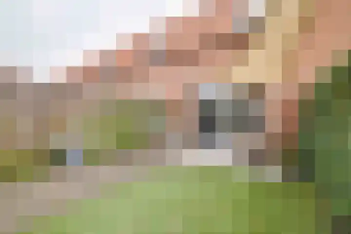 Narda van Terwisgastraat 13 Apeldoorn thumbnail 18