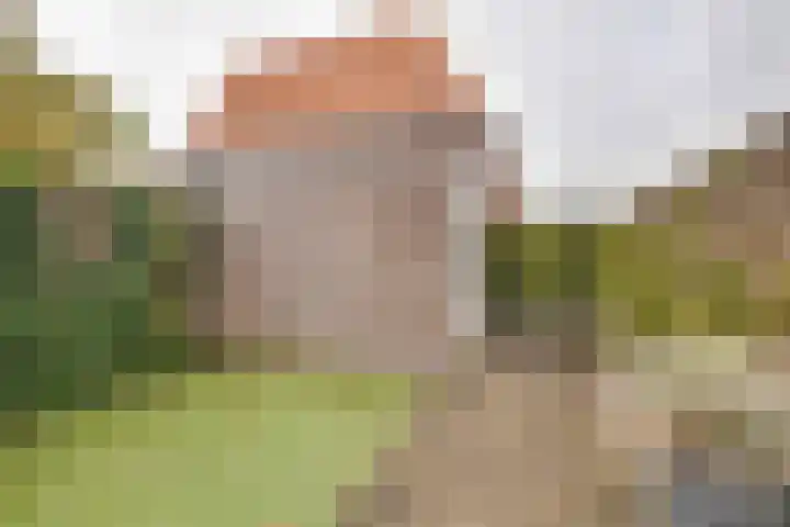 Narda van Terwisgastraat 13 Apeldoorn thumbnail 20