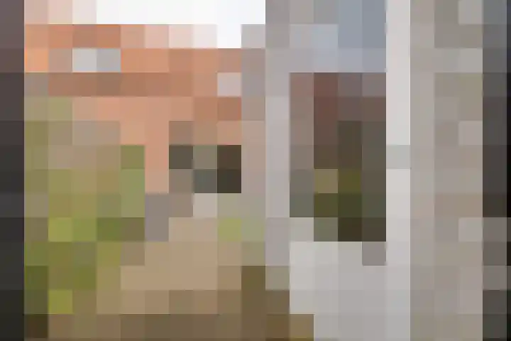 Narda van Terwisgastraat 13 Apeldoorn thumbnail 21