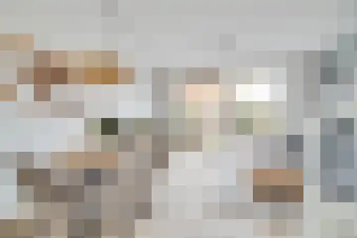 Narda van Terwisgastraat 13 Apeldoorn thumbnail 4