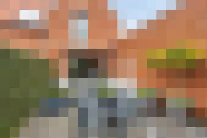 Narda van Terwisgastraat 23 Apeldoorn thumbnail 18