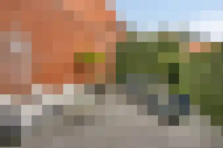 Narda van Terwisgastraat 23 Apeldoorn thumbnail 19