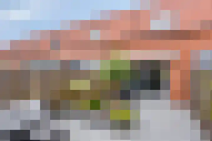 Narda van Terwisgastraat 79 Apeldoorn thumbnail 12