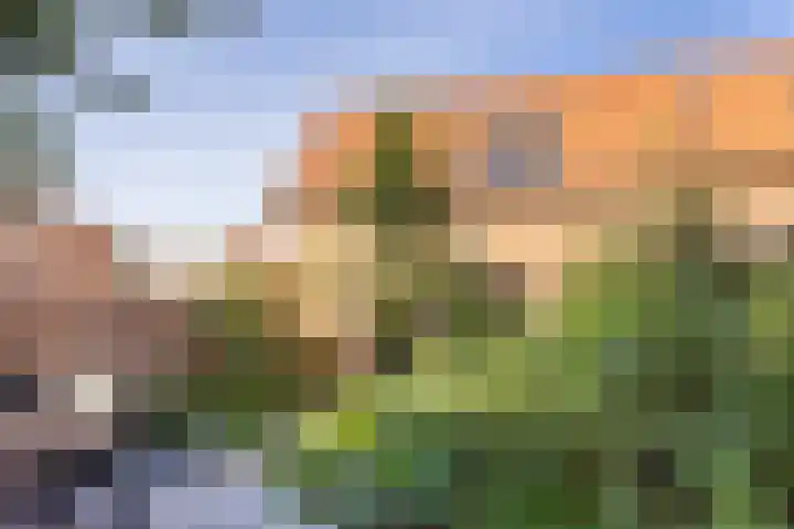 Narda van Terwisgastraat 87 Apeldoorn thumbnail 11