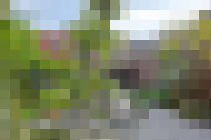 Narda van Terwisgastraat 87 Apeldoorn thumbnail 12