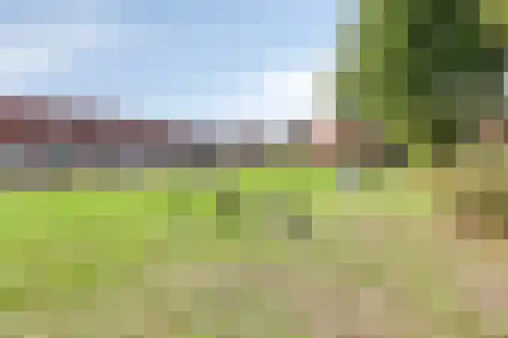 Narda van Terwisgastraat 87 Apeldoorn thumbnail 22