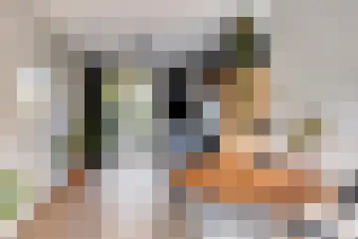 Narda van Terwisgastraat 87 Apeldoorn thumbnail 8