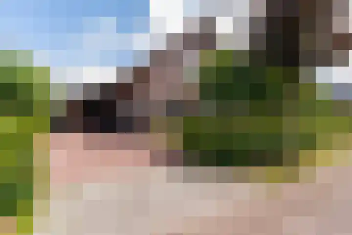 Narderherne 3 Wergea thumbnail 10