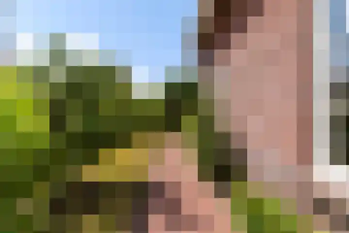 Narderherne 3 Wergea thumbnail 13