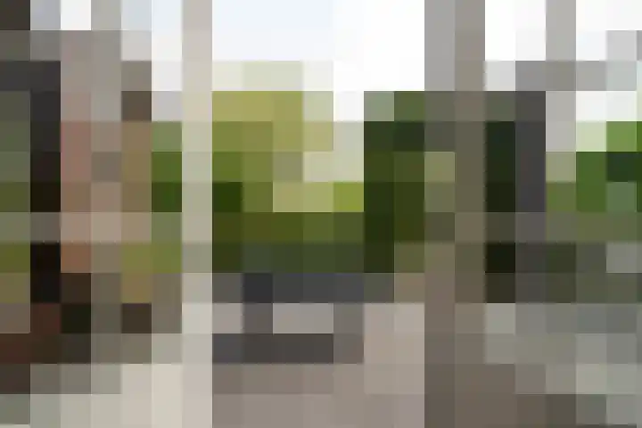 Narderherne 3 Wergea thumbnail 33