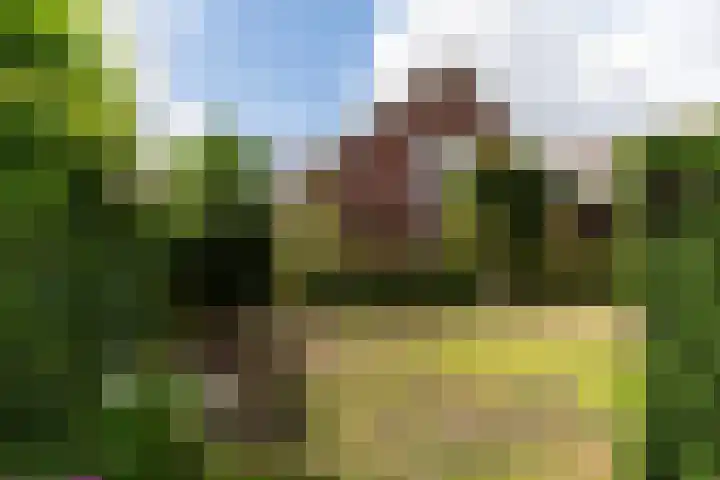 Narderherne 3 Wergea thumbnail 34
