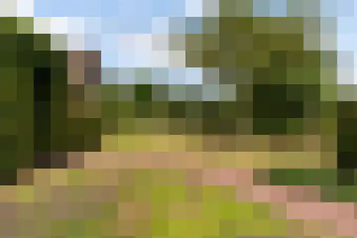 Narderherne 3 Wergea thumbnail 35