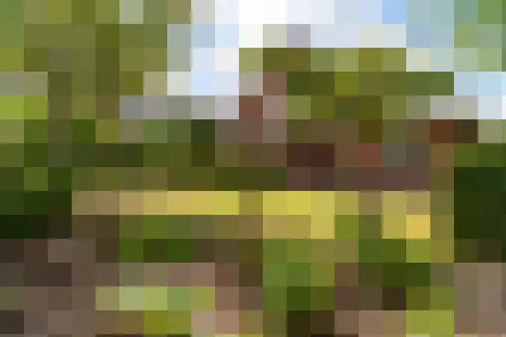 Narderherne 3 Wergea thumbnail 36