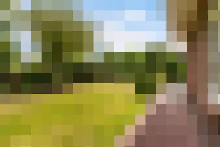 Narderherne 3 Wergea thumbnail 37