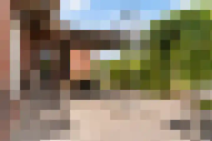 Narderherne 3 Wergea thumbnail 38
