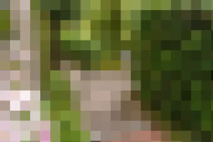 Narderherne 3 Wergea thumbnail 39